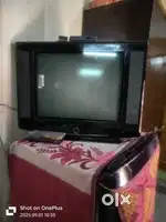 Videocon TV