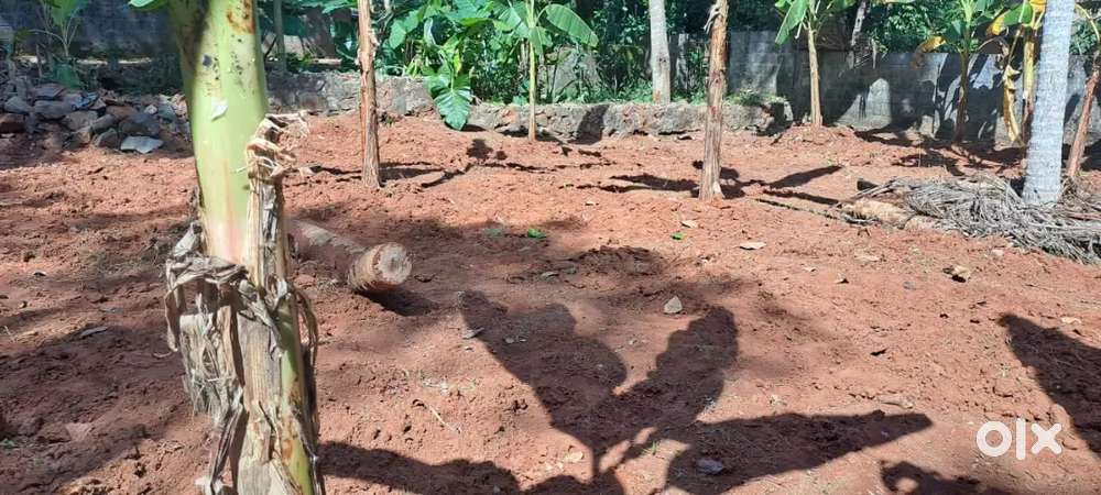 6 cent plot for sale Near vandithadam palappoor junction