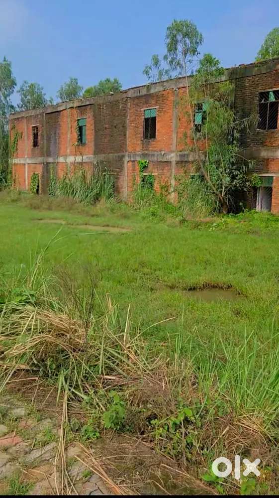 Free Hold (Dakhil Kharij), Beside - Prachi Degree College.