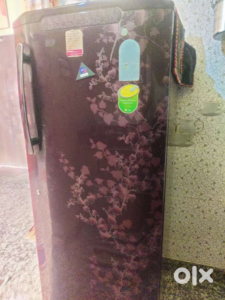 LG 5 star 230 KG Fridge
