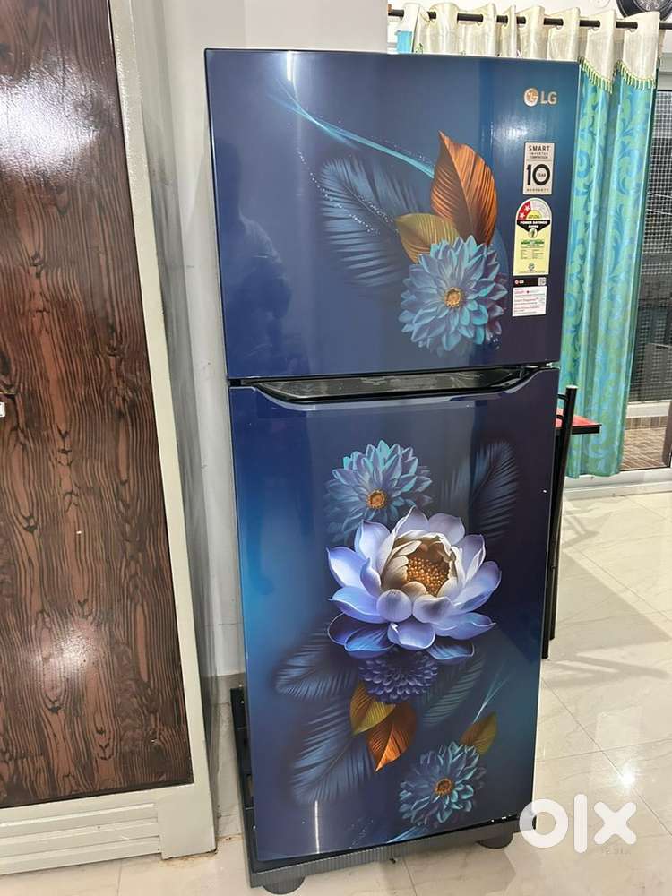 LG 240 L  Frost Free Double Door Brand new