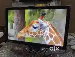 Lenovo 24 inch Monitor Unused Warranty