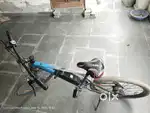 E-Motorad Electric Bicycle