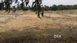 Beach Side Plot, On 40 Feet Road