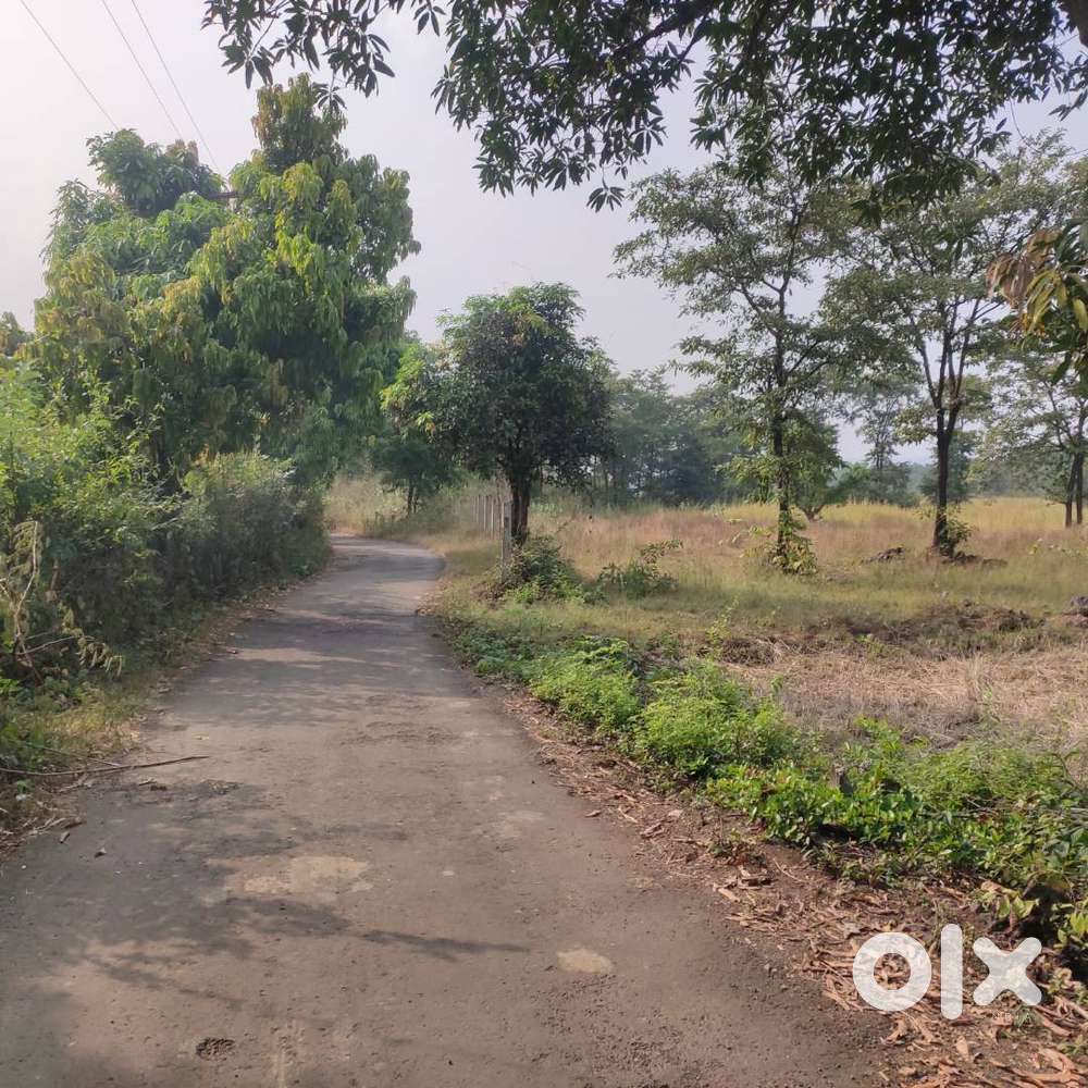 Agriculture Land Sale in Khopoli Pali Road