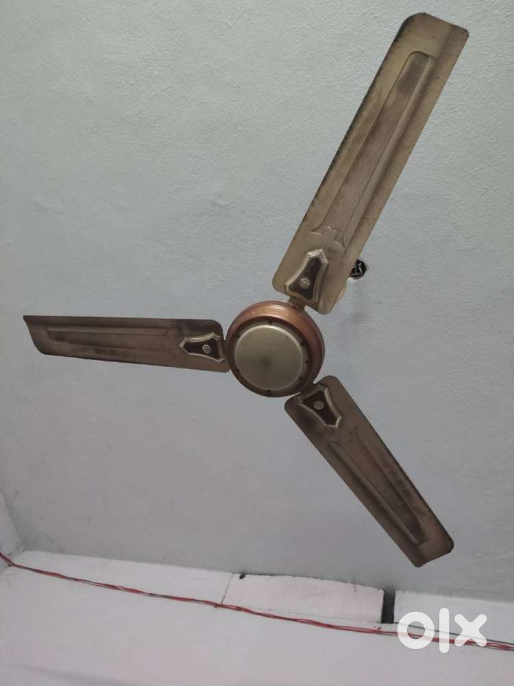 Ceiling fans