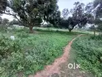 Bhanugudi Junction