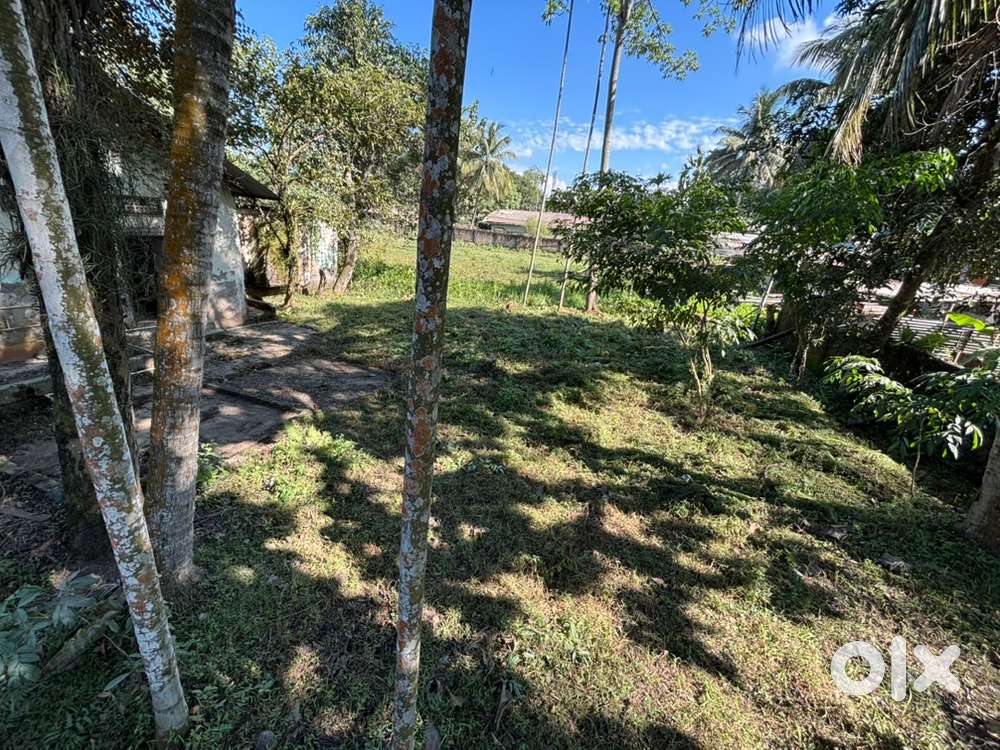 Highway land urgent sale
