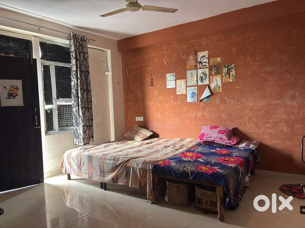 Looking for a female flatmate