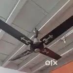 Working Ceiling Fan