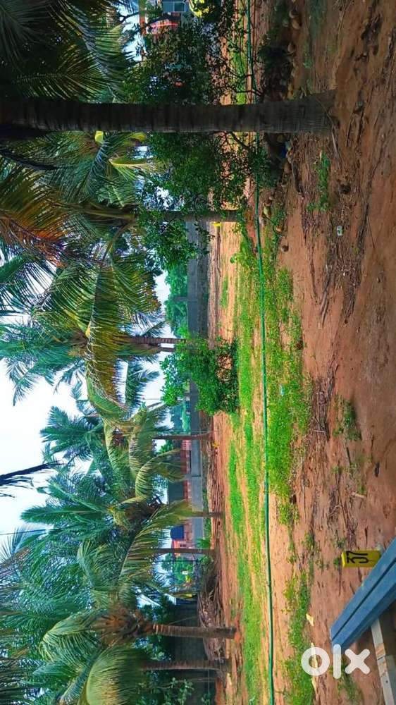 Exclusive 690 sq ft Plot – CMDA + RERA Approved – Sholavaram NH