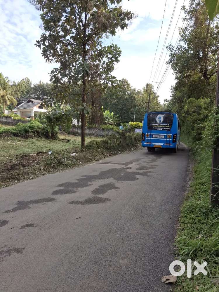 65cents Plot for sale, Vadakkenchery, near toll plaza Palakkad