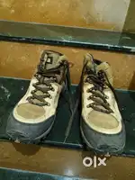 Woodland Hiking & Trekking Shoes