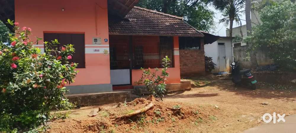 10 cent plot with old house for urjent sale
