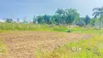Plot for Sale at Bhogapuram Highway