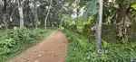 Vennikulam Memala main road 300 mtr distance 12 cent house plot 4 sale
