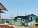 Oil mill for sale
