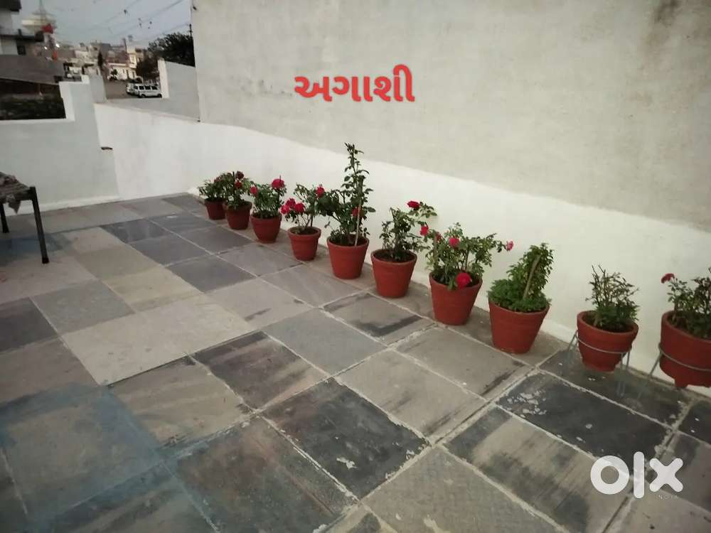 નાના બજેટ માં મોટુ ઘર નુ ઘર