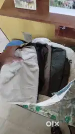 Formal pants