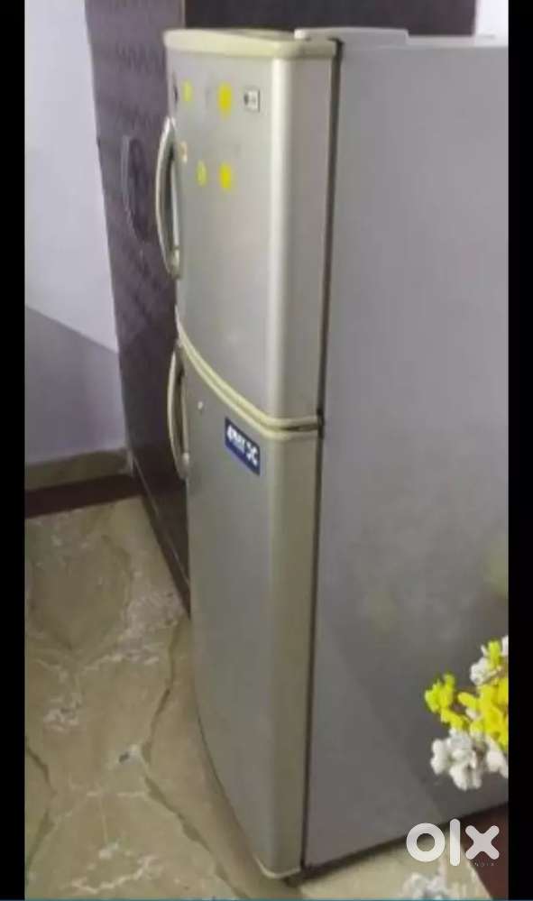 LG 220 ltr Fridge