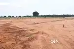 Best Investment On Earth Is Earth For Bright Future