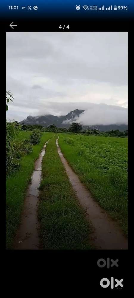 Agriculture land 20 bigha
