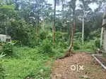 മീനാങ്കല്ലിൽ 40 സെന്റ് സ്ഥലം വീടും വിൽപ്പനയ്ക്ക് ഒരു സെന്റിന് 55,000