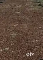 side road se 9no. ka plot sale krna hei