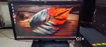 monitor (17/19/22) inch lenovo hp aoc brand