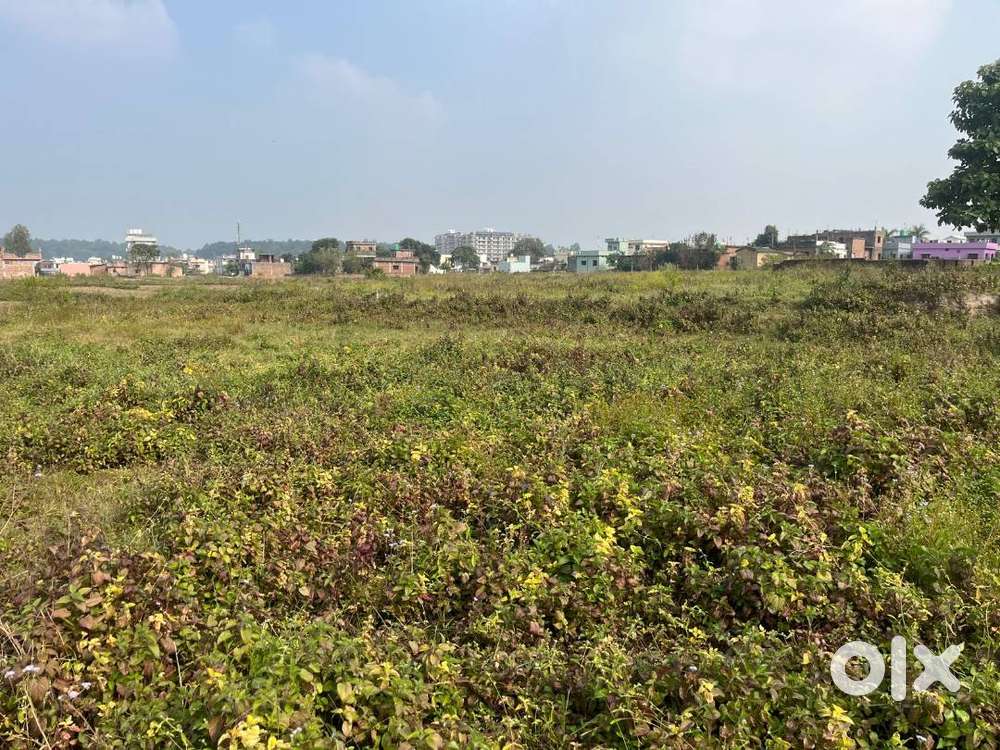 153 गज़ प्लॉट बिक्री के लिए — Badowala, Shimla Bypass