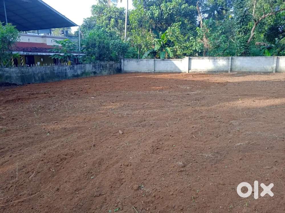 12 cents of house plot at Sheelanthi mukku Chirakkara Village