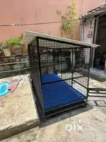 Dog cage or dog home