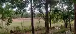 Residential Plot of 300 SQ meter is available in North Goa for sale