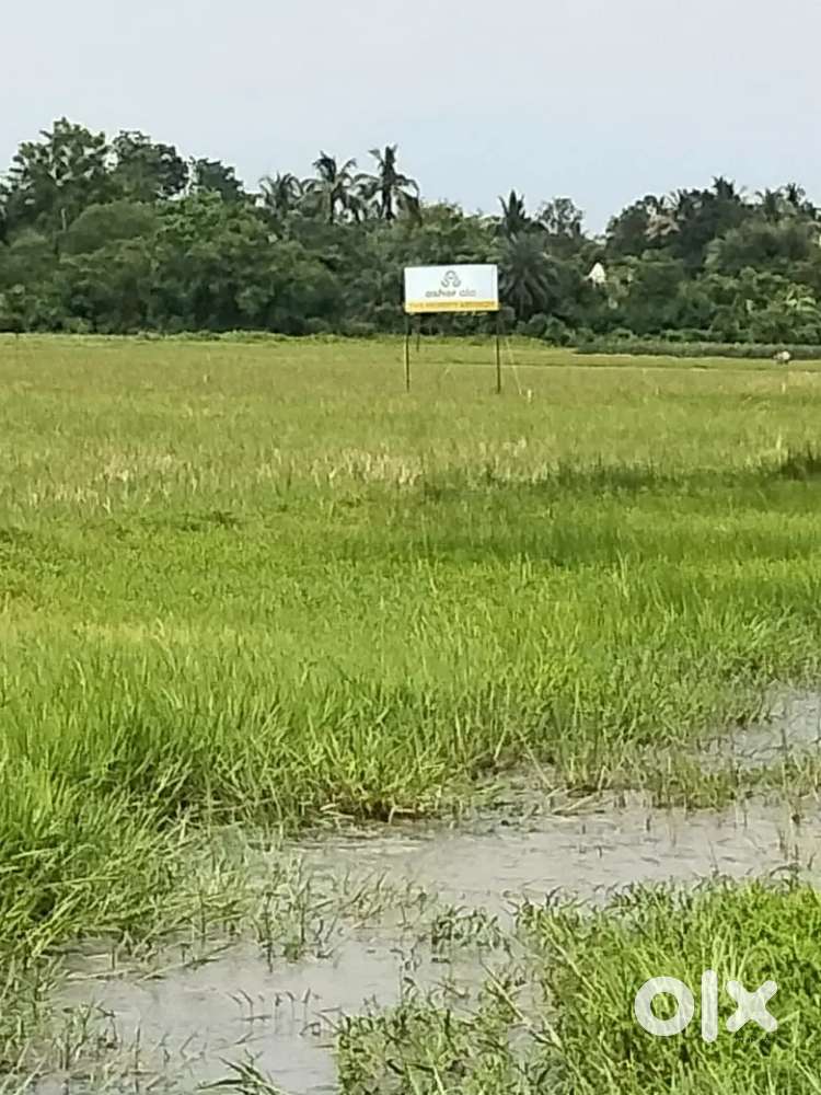 Buy Land Through Cash Back offer - Near Sonarpur Piyali