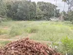 House plot 14 cent in Ettumanoor town 3.75 lakh/cent