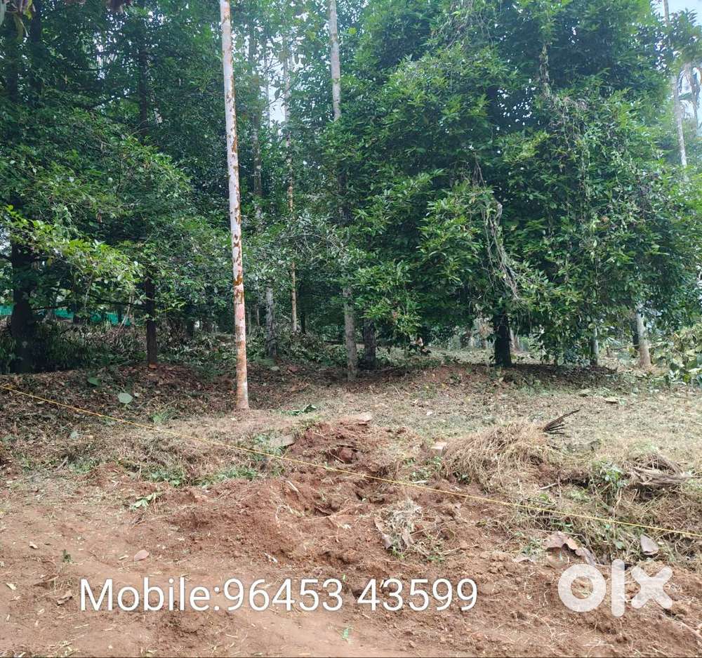 Mukkam Koodaranji House plot