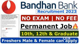 Required Back Office Executive in Amritsar