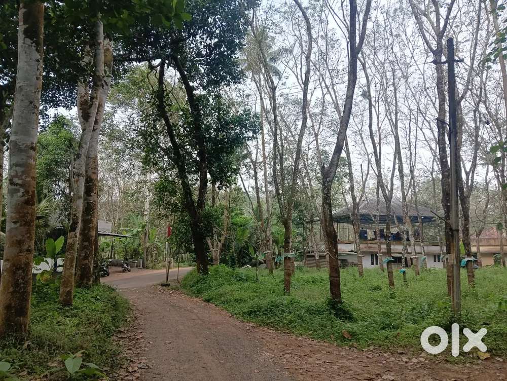 For sale of residential area