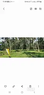 36 cent house plot  fully  or partially for sale.  one cent 70000