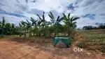 Muvattupuzha Arakuzha, 20 cent house plot for sale...