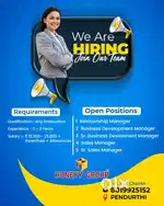 Salary with insensitives and promotion's