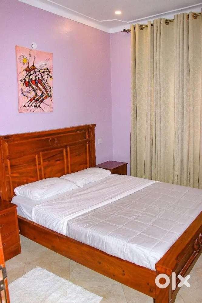 The vibe house co living pg