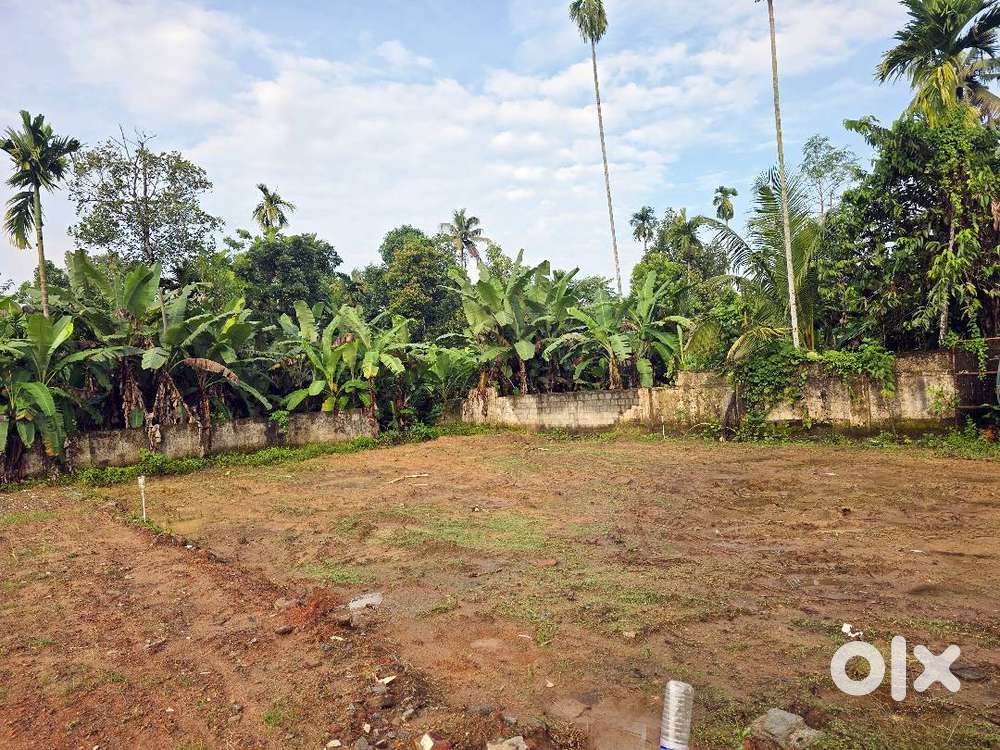 Residential Land for Sale – Neericode Near Kongorpilly, Varapuzha