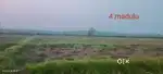 Agriculture land for forming