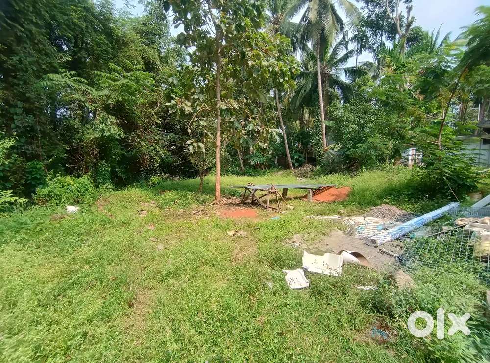 8 cent residential plot for sale - peaceful location, ideal investment