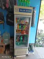 Blue Star 250L Commercial Fridge in New Condition