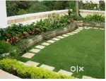 PLOT FOR MOST DEVELOPED AND DEMANDING AREA VIDHANSABHA RAIPUR
