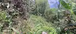 Private land
