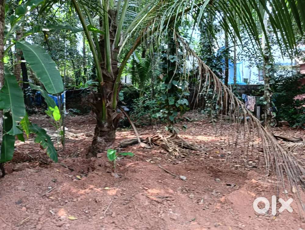 സ്ഥലം വിൽപ്പനക്ക്,പനങ്കാവ്