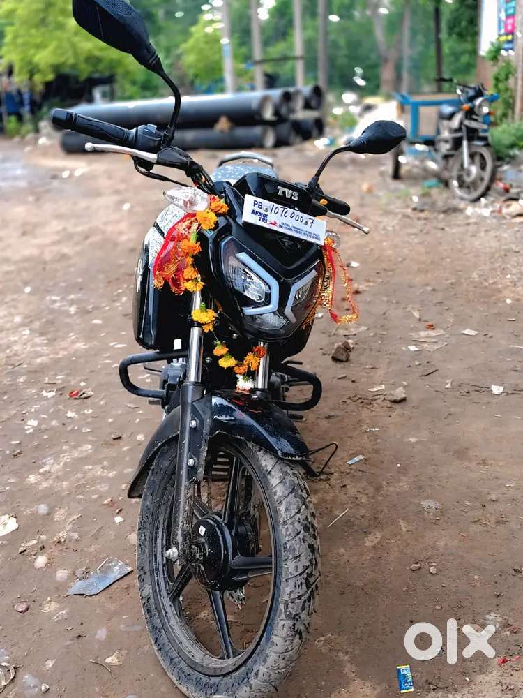 Tvs raider